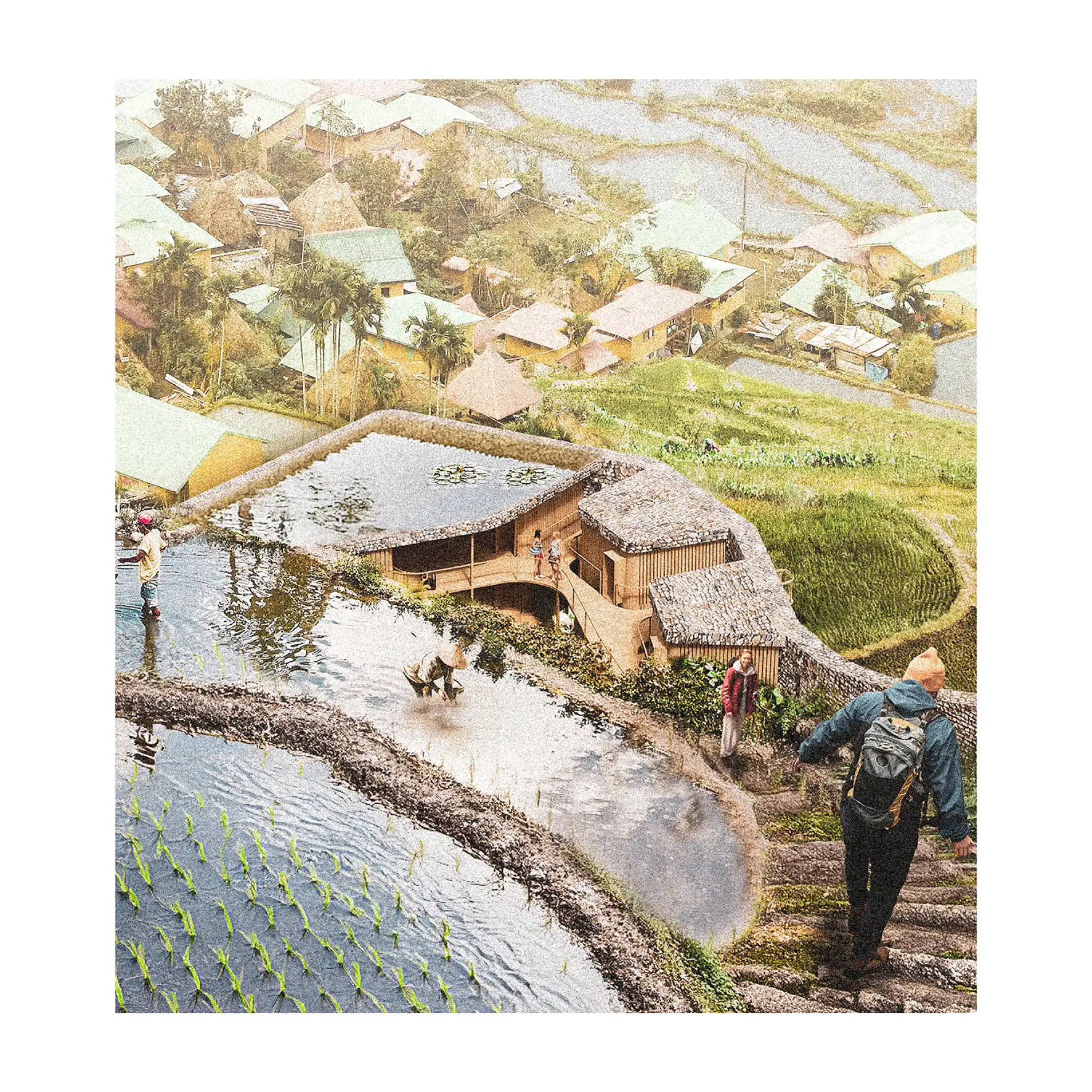 Banaue Lodge — Residential competition winning project