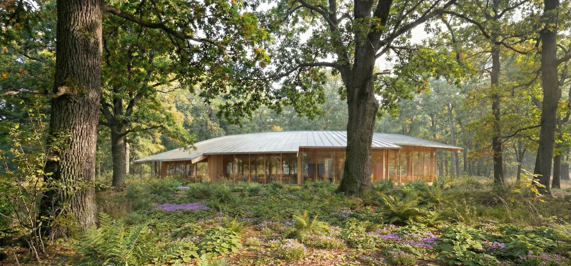 Reading the Forest / A Forest for Reading — Institutional competition winning project