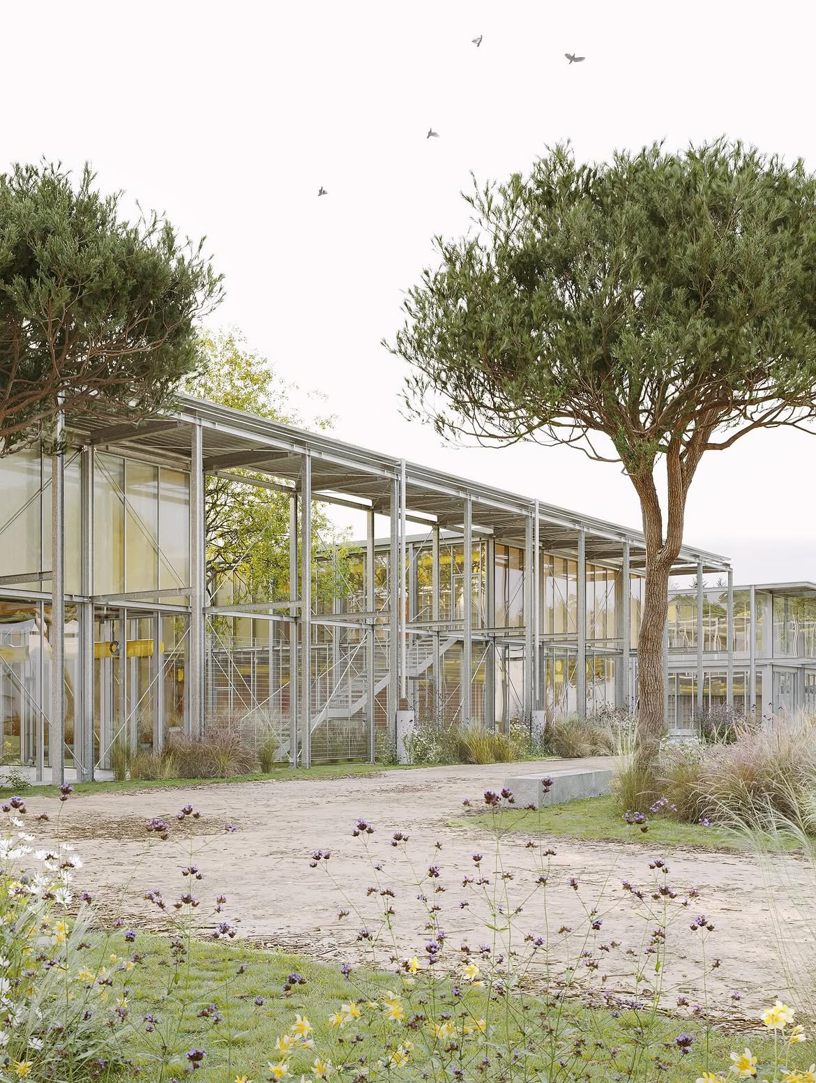 LSCF - School today, future tomorrow. — Education competition winning project