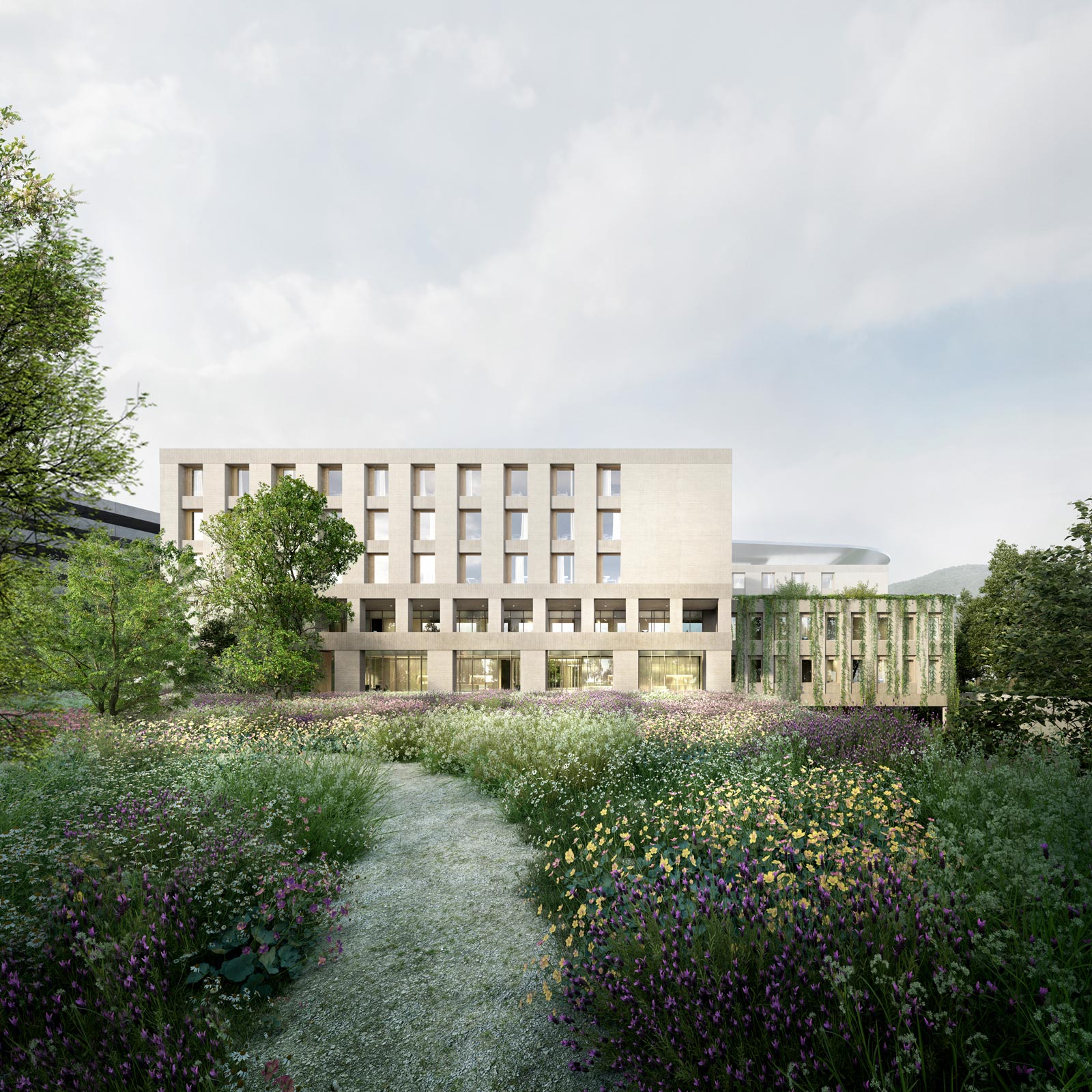 Zentralklinikum Hochrhein — Education competition winning project